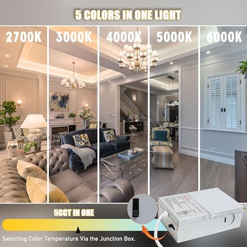 lamphome-24-pac_4 lamphome-24-pac_4